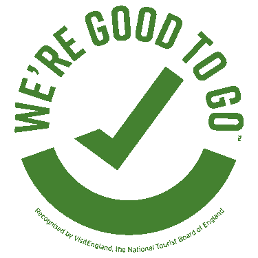 Good-to-go-logo-green