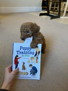 puppy training