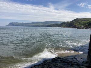 The Bay